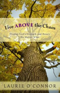Live Above the Chaos